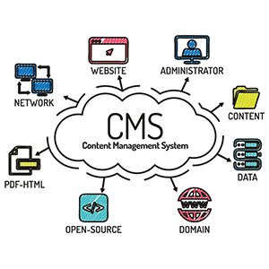 CONTENT MANAGEMENT SYSTEMS (CMS)